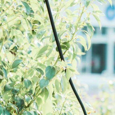 江南全站登录app下载截图